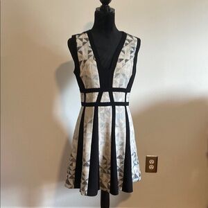 BCBGMaxAzria Black and Cream Geometric Mini Dress